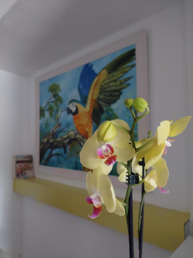 Casa de hóspedes L83 - And Lisboa